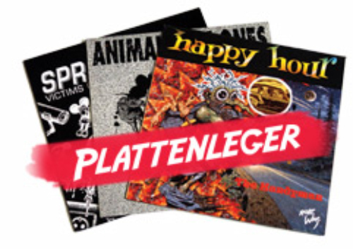 Plattenleger lp - x,
