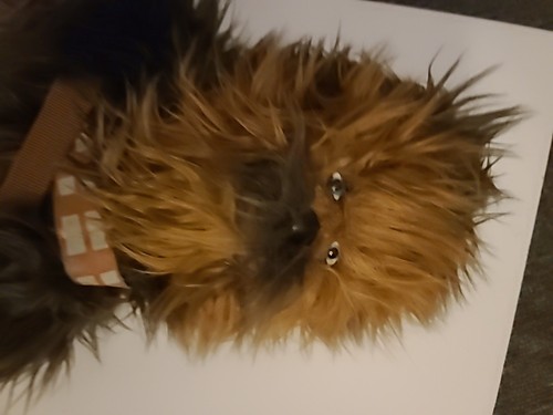 Star wars chewbacca - chewbacca, wookie