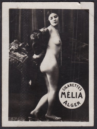 Akt erotica erotik nude - akt,