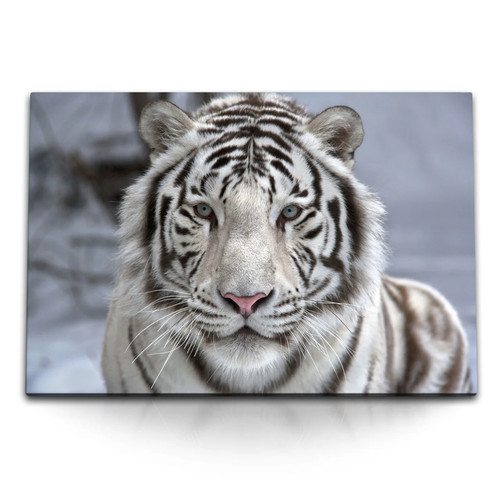 120x80cm wandbild auf - 120x80cm, leinwand