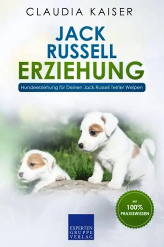 Jack russell erziehung - jack,