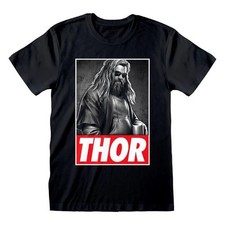 Avengers: Endgame Thor Photo