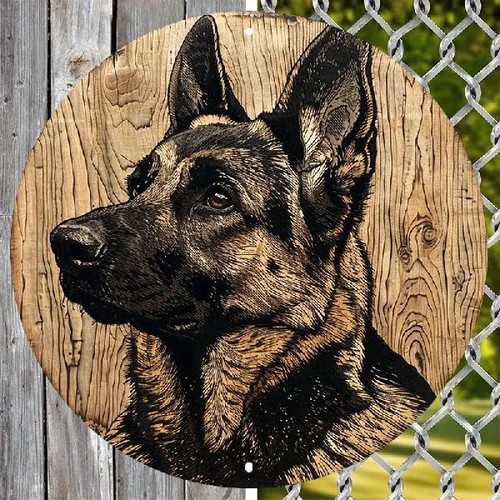Blechschild rund schäferhund - blechschild,