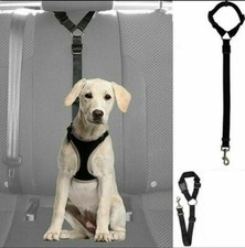 Verstellbar Hunde/Katzen