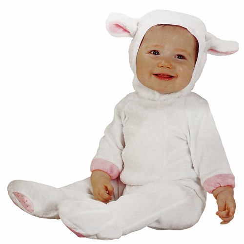 Klein kinder baby - baby, lamm