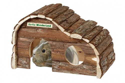 Nagerhaus wonderland hamster - nagerhaus,