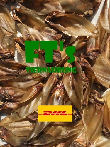 100 riesen rinderohren mit - rinderohren,
