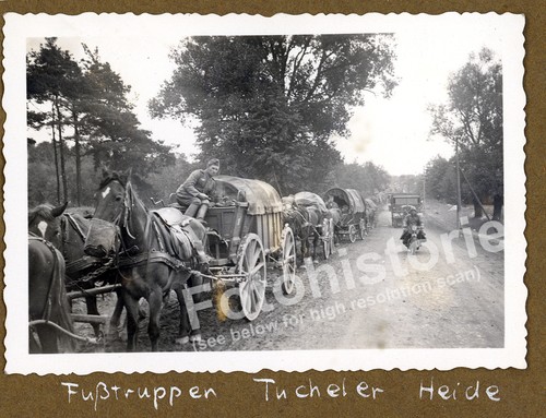 Foto polen tuchel tuchola - foto,