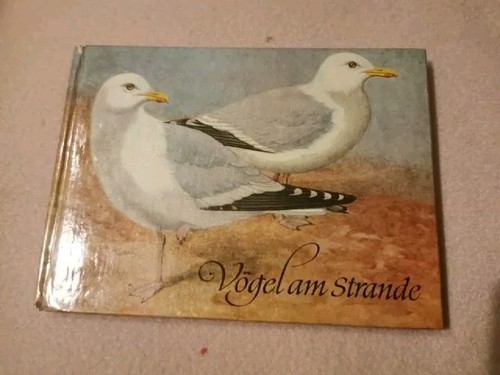 Vögel strande das - strande,, kleine