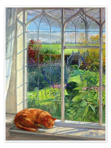 Poster katze fenster - katze, im