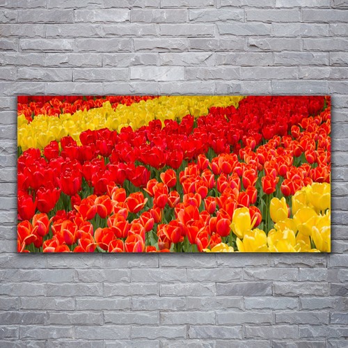 Leinwand bilder wandbild - leinwand-bilder,