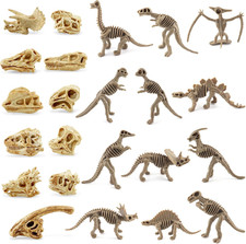 Dinosaurier Fossil Skelett Simulation Wissenschaftsspiele Dekoration