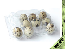 100 x Wachteleierschachteln