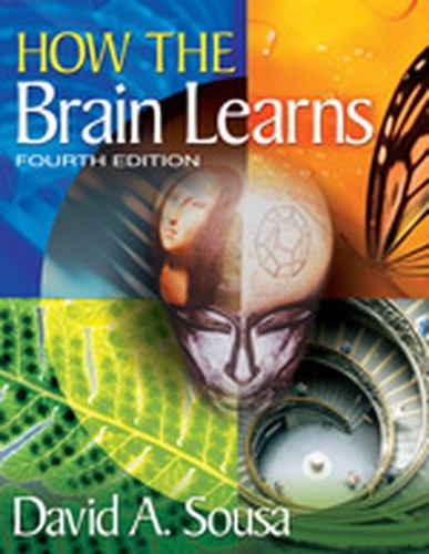 How the brain - brain, sousa