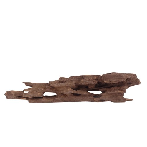 Honey comb wurzel 3762 - comb,