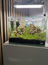 Schnäppchen               Dennerle Nano Cube 30 L - Aqua Scape Komplettset