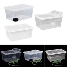 Reptil Fütterung Box Zucht