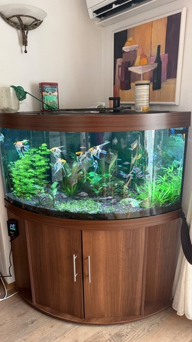 Juwel eckaquarium 350 - juwel, liter