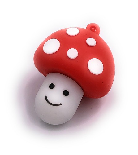 Pilz mushroom rot - mushroom, funny