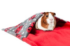Wasserdichte meerschweinchen - wasserdichte,
