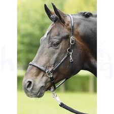 BUSSE Halfter Glory Leder