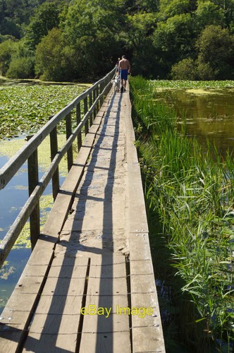 Foto 6x4 bosherston - bosherston, ponds