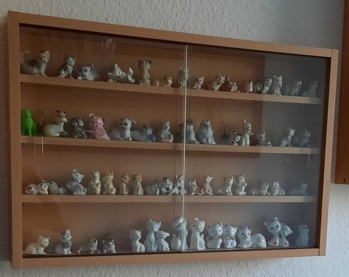 Katzensammlung setzkasten - im,