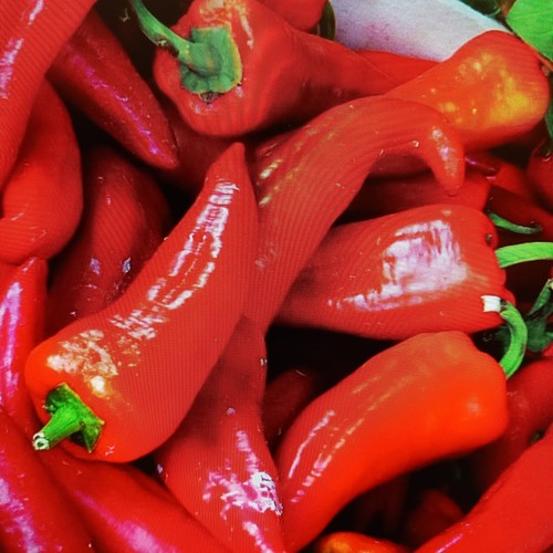 Spitz paprika rot 15 - spitz,