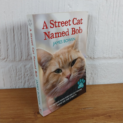 Street cat named bob - a,