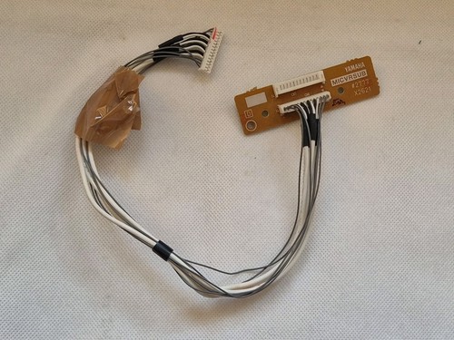 Tyros1 kleines - -,