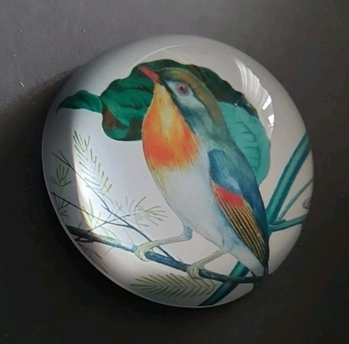 Glaskugel halbkugel - glaskugel,