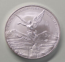 Mexiko Siegesgöttin Libertad