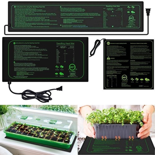Heizmatte sämling terrarium - sämling,