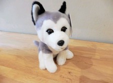  Pets2Cuddle Husky Hund