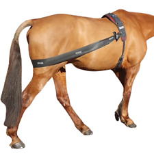 longierband für pferde