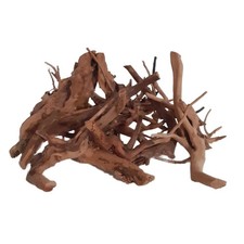 Rote Moorwurzel - Spiderwood