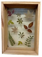 Sass & Belle Bilderrahmen Modern Holzrahmen Herbarium Blätter Mehrfarbig Deko