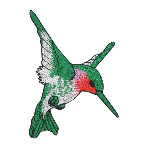 Am57 kolibri vogel - vogel, grün