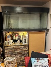 500 L Aquarium mit Filterbecken Beleuchtung Und Edelstahlunterschrank