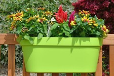 Geländertopf 50 cm in Grün