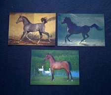 3 AK Pferdepostkarten Araber Fohlen und 2 Hengste, Horse