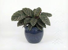 Teramico Pflanzgefäß Keramik