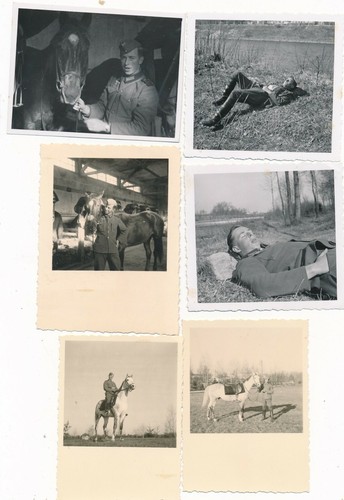 31245 foto bilder - 12, x