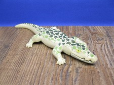 Alligator Tiere Tierpark Zoo