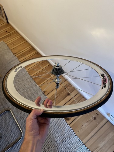 Campagnolo shamal 2nd - campagnolo,