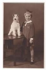 17/90  AK FOTO - HUND