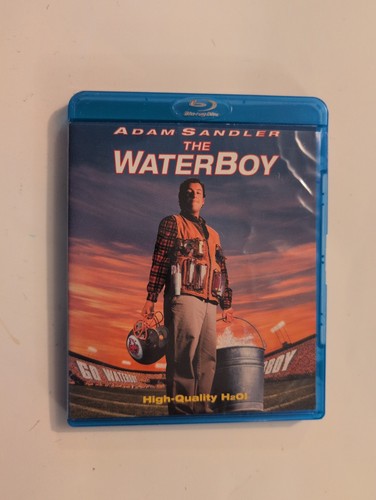 The waterboy - the,