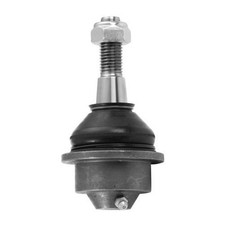 Traggelenk VA oben für