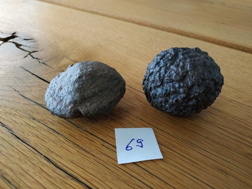 Moqui marbles lebende steine - -lebende,