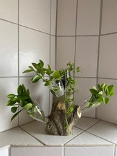 Blumenvase Vase Baumstamm